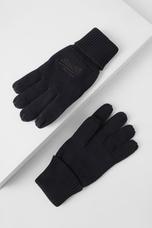 Перчатки мужские Superdry M9310048A, синий