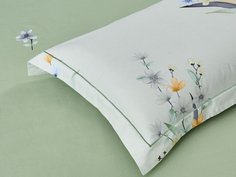 Комплект простыни с двумя наволочками, хлопок 1759-3PS Asabella