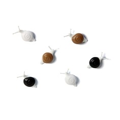 Магниты Snail, 6 шт. Qualy