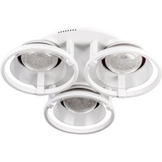Потолочная светодиодная люстра ESCADA 10209/6LED