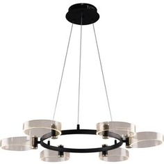 Подвесная светодиодная люстра ESCADA Cloud 10227/6LED