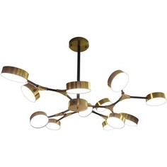 Потолочная светодиодная люстра ESCADA 10239/12LED