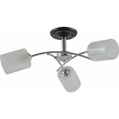 Потолочная люстра ESCADA 1170/3P