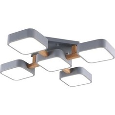 Потолочная светодиодная люстра ESCADA Ulrika 10213/5LED