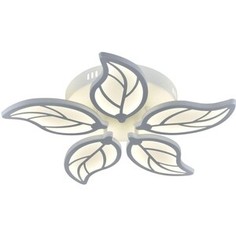 Потолочная светодиодная люстра ESCADA 10214/5LED