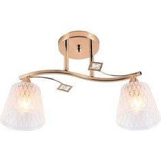 Потолочная люстра ESCADA 1125/2PL