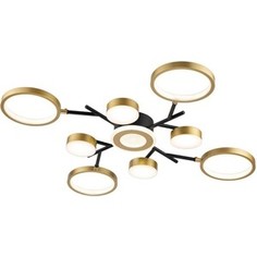 Потолочная светодиодная люстра ESCADA Optimal 10206/9LED