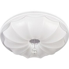 Потолочный светодиодный светильник ESCADA 10231/S LED