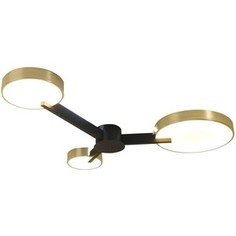 Потолочная светодиодная люстра ESCADA Expert 10209/3LED