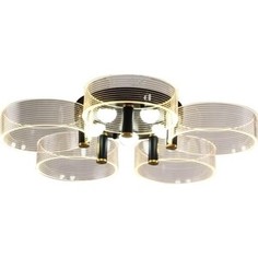 Потолочная светодиодная люстра ESCADA Cloud 10249/10LED