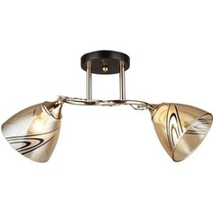 Потолочная люстра Imex MD.4077-2-S FGD+BK