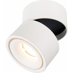 Светодиодный спот ST-Luce ST652.542.12