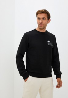 Свитшот Lacoste
