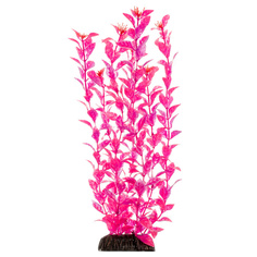 Растение для аквариума Laguna, Людвигия ярко-розовая, 200 мм