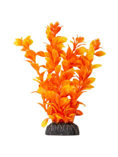 Растение для аквариума Laguna, Людвигия ярко-оранжевая, 200 мм