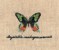 Набор для вышивания LE BONHEUR DES DAMES PAPILLON : CHRYSIRIDIA (Бабочка CHRYSIRIDIA) арт.