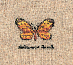 Набор для вышивания LE BONHEUR DES DAMES PAPILLON : HELICONIUS (Бабочка HELICONIUS) арт.36