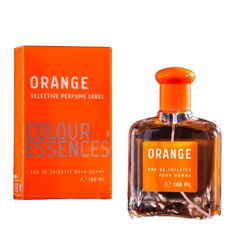 Туалетная вода мужская "Colour essences Orange", 100 мл Parfum Delta