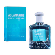 Туалетная вода мужская "Aquamarin", 100 мл Parfum Delta