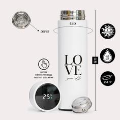 Термос Supreme, Love, c термометром, 450 мл, сохраняет тепло 8 ч, 23х6,5 см No Brand