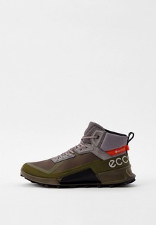 Кроссовки Ecco