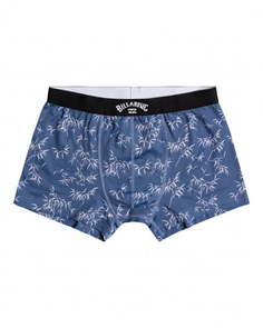 ТРУСЫ RON UNDERWEAR Billabong