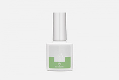 Гель-лак для ногтей IVA Nails