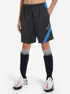 Шорты для мальчиков Nike Dri-FIT Academy Pro, Серый, размер 137-147