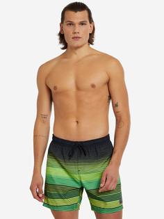 Шорты плавательные Speedo Print Leis, Черный, размер 46-48