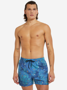 Шорты плавательные Speedo Digi Print, Голубой, размер 46-48