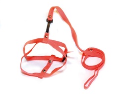 Комплект Томикс капроновый для кошек 12 мм, шлейка, поводок 1.2 м, в ассортименте