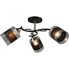 Люстра потолочная Reluce 04846-0.3-03