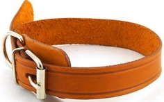 Ошейник ZooMaster кожаный, 20 мм х 30 см (23-30 см), 1-слойный, с тиснением