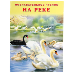 Книга На реке Гурина И. В. Фламинго Flamingo