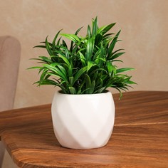 Кашпо "Грань", белое, керамика, d=9 см, 0.4 л, 1 сорт, Иран