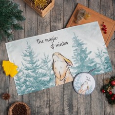 Набор подарочный Этель Magic winter МИКС: кух. полотенце, прихватка, силикон. форма