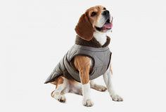 Попона Cute&Cool