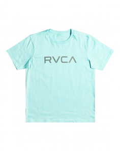 Мужская Футболка Big Rvca