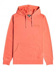 Мужское худи Arch Wave Billabong