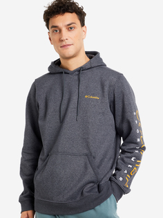 Худи мужская Columbia CSC Basic Logo II Hoodie, Черный, размер 48-50