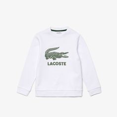 Толстовка Lacoste