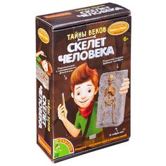 Набор для раскопок Bondibon Науки с Буки Тайны веков Скелет человека