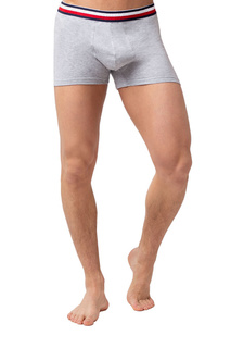 Трусы мужские OPIUM R124 серые XXL