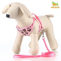 Комплект с мягкой шлейкой "Дэймон" S, ширина 1 см, поводок 1,2 м Пижон