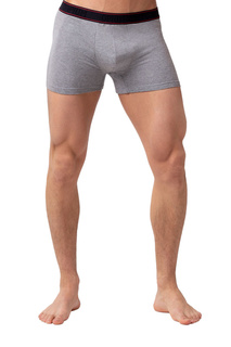 Трусы мужские Opium R127 серые L