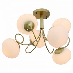 Люстра потолочная ST Luce SL717.202.06