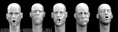 HH17 5 different heads eating, drinking Hornet