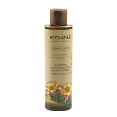 Шампунь для сухих волос и кожи головы Ecolatier 250мл
