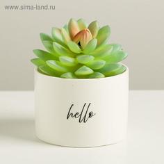 Керамическое белое кашпо Hello, 8 х 5,5 см Дарите Счастье