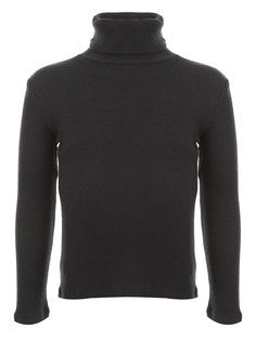 Водолазка Goldy